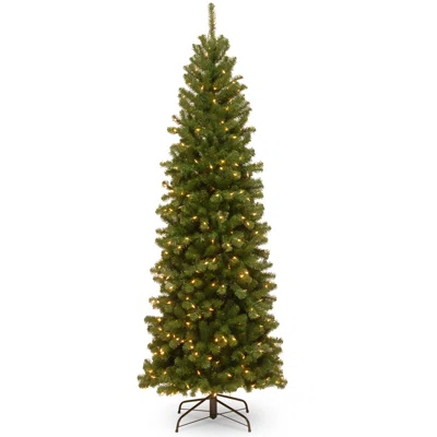 10'' North Valley Spruce Pencil Slim Tree With Clear Lights