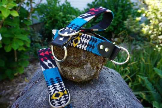 Shasta Slip Collar | Martingale Leather Slip Collar