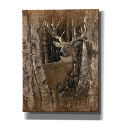 Millwood Pines 'Birchwood Buck' By Collin Bogle, Canvas Wall Art
