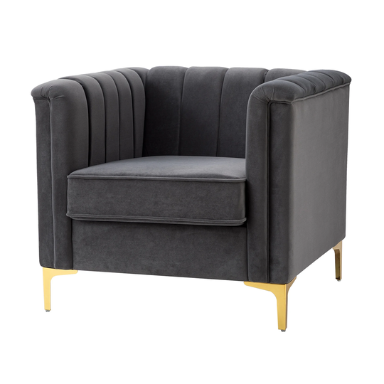 Arm Chair Sofa Accent Chair with Metal Legs|Pink