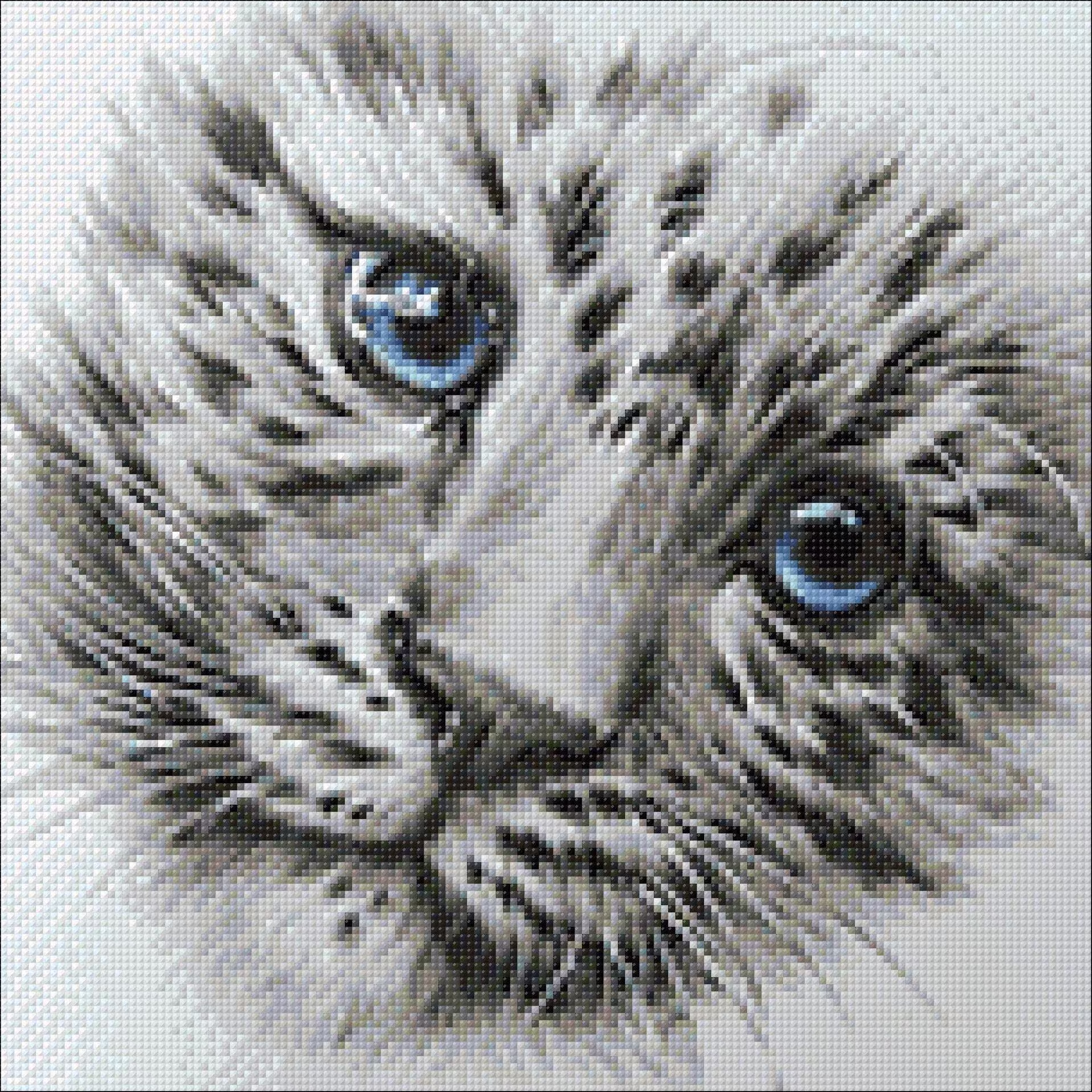 White Tiger Diamond Painting Set By Wizardi. Wd2342 Art Kit. Large Kit