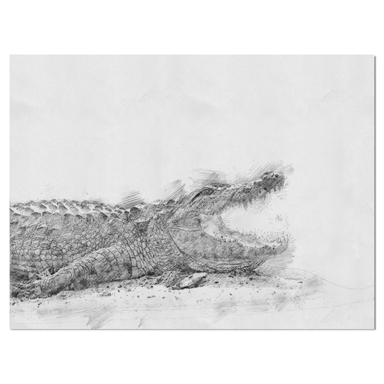 Designart 'Black and White Croc0dile Pencil Sketch' Animals Print on Wrapped Canvas