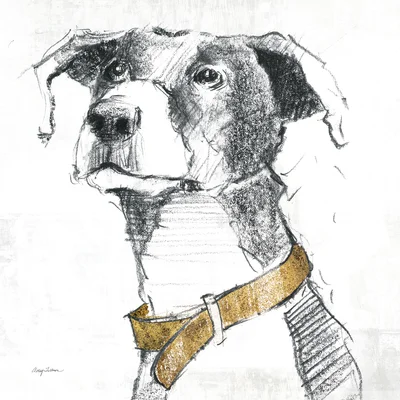 Puck Gold Accent by Avery Tillmon - Drawing Print on Canvas