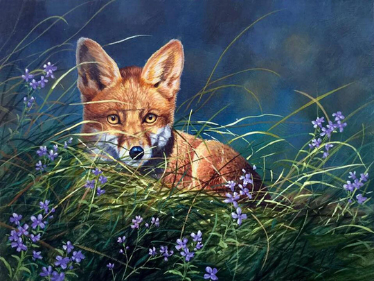 5D Diy Full Drill Square Round Diamond Painting Kit, Animal Cute Fox Cross Stitch, Diamond Embroidery Wall Home Decor