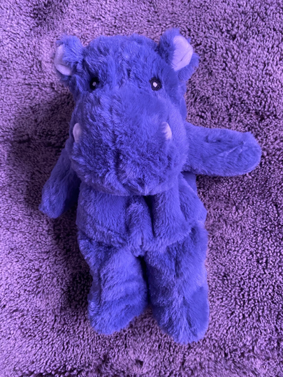 Blue Hippo Chalk Bag, Rock Climbing Trinket Stroller Bag