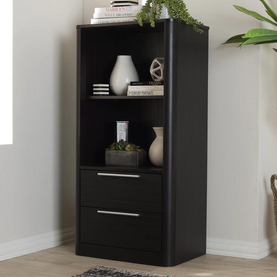 Contemporary Dark Brown 2-Drawer Bookcase by Baxton Studio