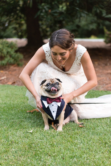 Wedding Tuxedo For Dogs . Formal Dog Tuxedo, Custom Made Suit, Dog Clothing Ringbearer, Dog Bandana, Pet Clothing, Bow Tie, Wedding Attire