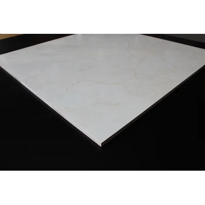 24" x 24" Porcelain Marble Look Wall & Floor Tile
