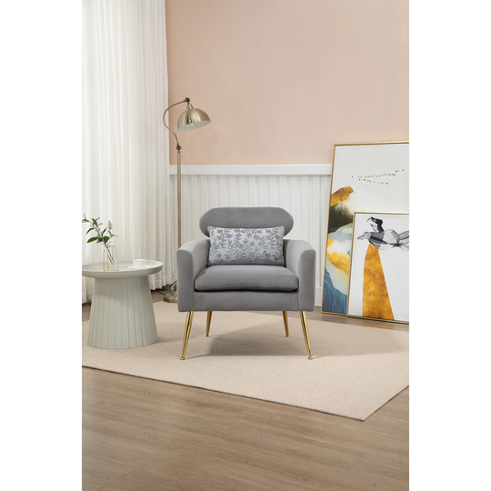 Velvet Upholstered Accent Chair With A Pillow