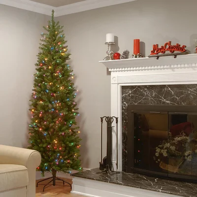 Ogburn Fir Pencil Tree