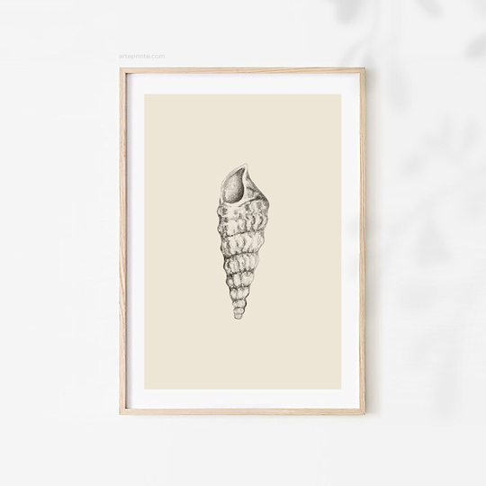 Sketch Of Seashell Printable, Graphite Pencil Minimalist Drawing, Gray Beige Nature Illustration, Neutral Bathroom Decor, Digital Download