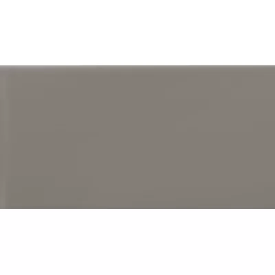 Choice 11.81" x 23.62" Ceramic Field Tile