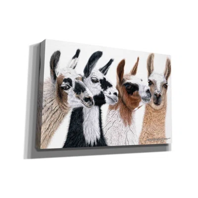 Peruvian Visitors by Jan Henderson - Wrapped Canvas Painting Print