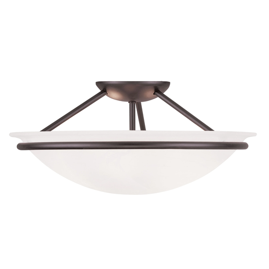 Livex Lighting Newburgh Ceiling-mount Light Fixture