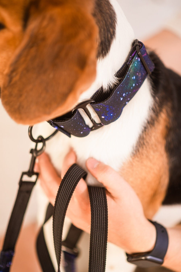 Martingale Dog Collar 1" Or 1.65", Puppy Collar, Sighthound Greyhound Saluki Whippet