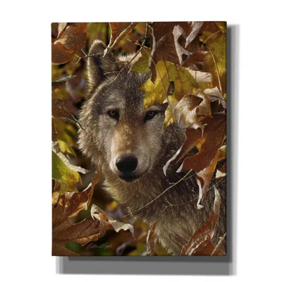 Millwood Pines 'Autumn Shadows' By Collin Bogle, Canvas Wall Art