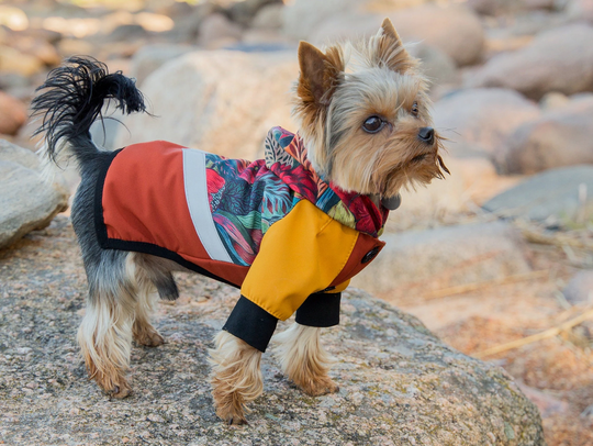 Water & Wind Resistant Coat For Small Dogs Made From Softshell Material With Floral Print Reflective Stripes