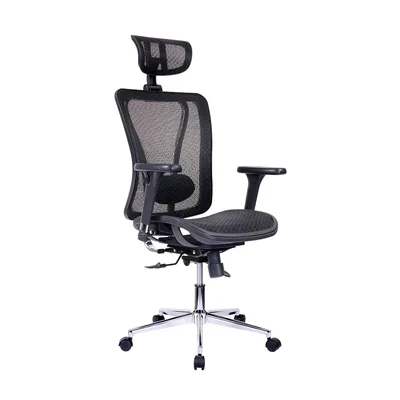 Sebastiao High Back Executive Mesh Office Chair with Arms, Headrest and Lumbar Support, Black