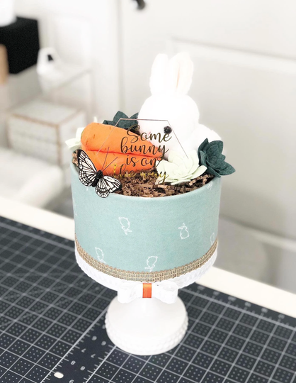 Gender Neutral Sage "Somebunny Is On The Way" Succulent Garden Mini Diaper Cake Baby Shower Birthday Sprinkle Gift/Centerpiece