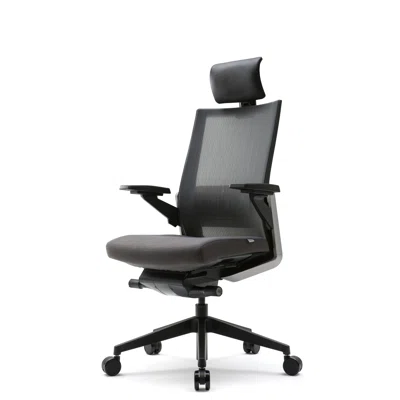 SIDIZ T80 German Mechanism Ergonomic Home Office Chair