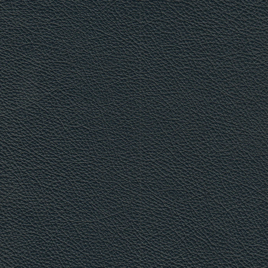 Accampo Genuine Leather Chair