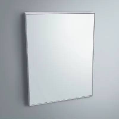 Spillers Matte Aluminum Framed Bathroom/Vanity Mirror