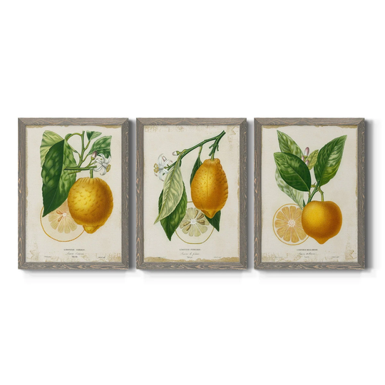 French Lemon I-Premium Framed Canvas - Ready to Hang - Multi-Color