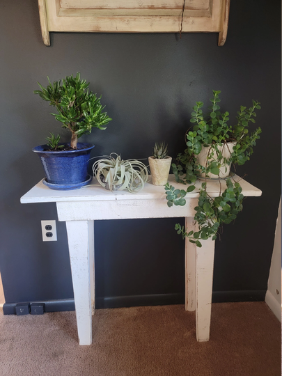 Sofa Table/Plant Table/ Lamp Table Console Narrow