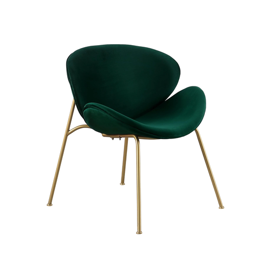 Zahra Velvet Accent Chairs with Gold Metal Legs (Set of 2)