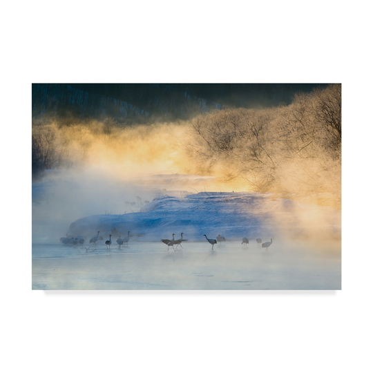 C Mei 'Wake Up Dance' Canvas Art - Multi-color