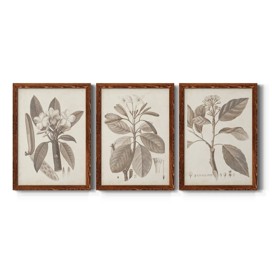 Antique Sepia Botanicals VII-Premium Framed Canvas - Ready to Hang - Multi-Color