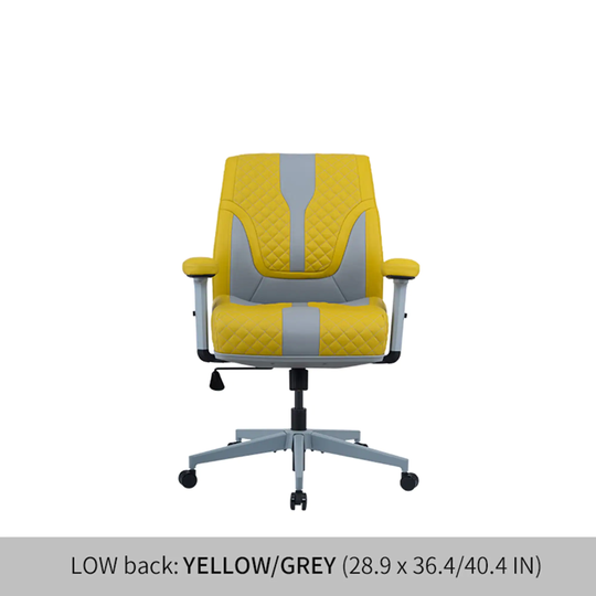 Low Back Office Chair with Air Cushion