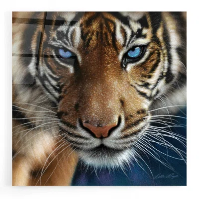 Blue Eyes by Collin Bogle - Unframed Print