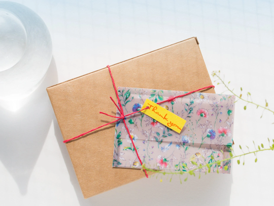 Semi-Translucent Mini Letter Set/-Clair - By El Commun/ Matokabrand Tracing Paper Envelope Made in Japan
