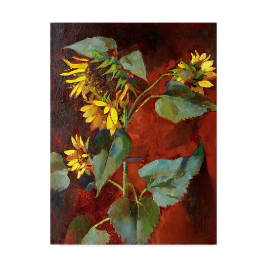 Hall Groat Ii 'Sunflower Red' Canvas Art - Multi-color