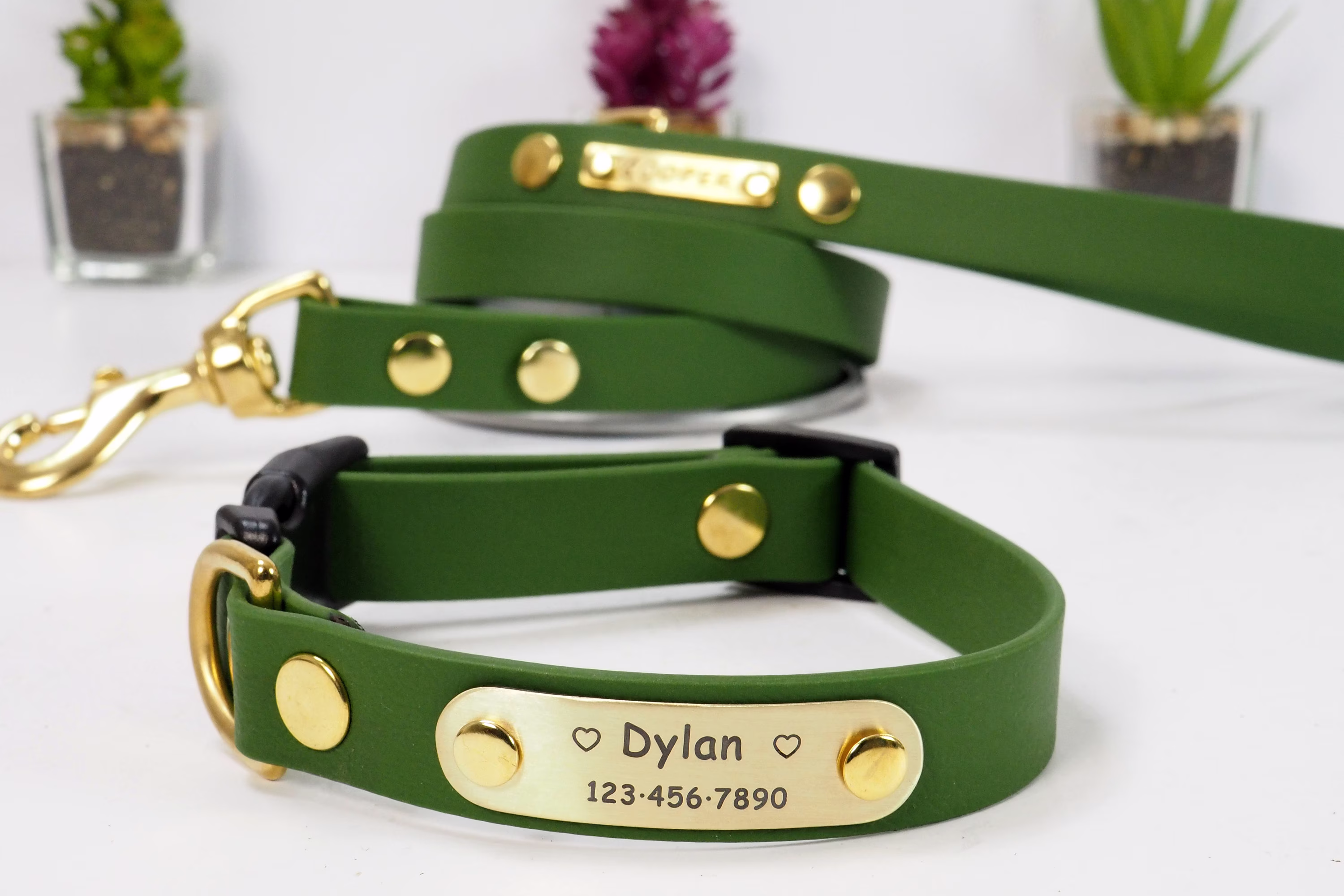Waterproof Dog Collar, Leash, Personalized Collar & Leash Set, Vegan Leather