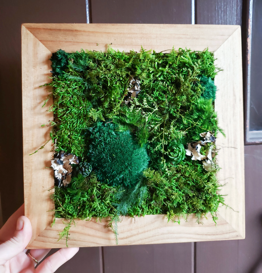Diy Kit | Wood Moss Wall Art & Decor Adult Craft Birthday Day Gift Bring Outdoors Inside Box Frame
