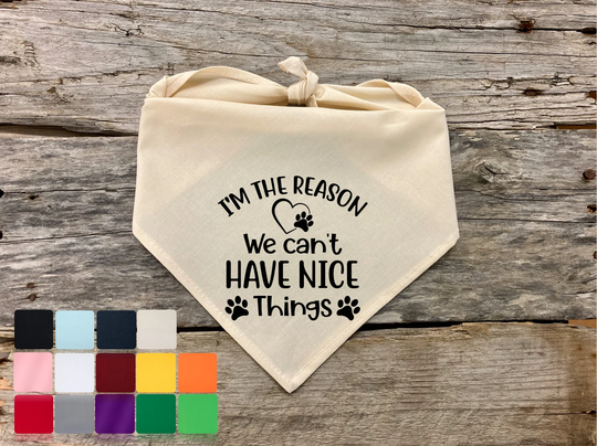 I'm The Reason We Can't Have Nice Things Dog Bandana, Funny Pet Quotes Birthday Bandana For Dogs Accessories, Supplies