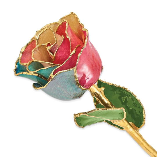 Curata Lacquer Dipped Gold Trimmed Tri-Color Real Rose