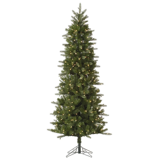 10-foot Carolina Pencil Spruce with 550 Clear Lights