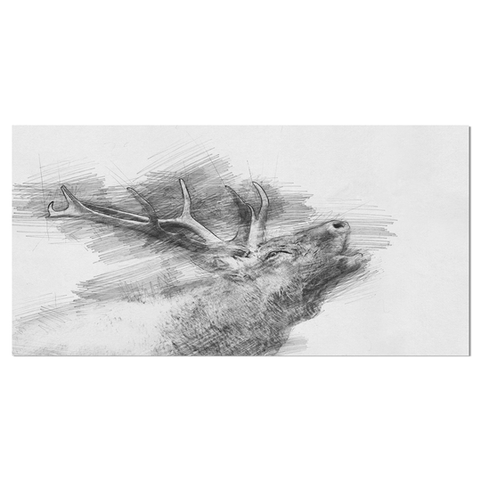 Designart 'Black and White Deer Pencil Sketch' Animals Print on Wrapped Canvas
