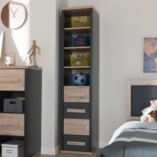 Contemporary Grey and Brown 4-Drawer Storage Cabinet by Baxton Studio
