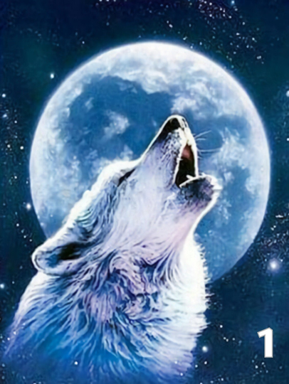 Coyote Heads Diy 5D Diamond Painting Kit Full Square & Round Drill
