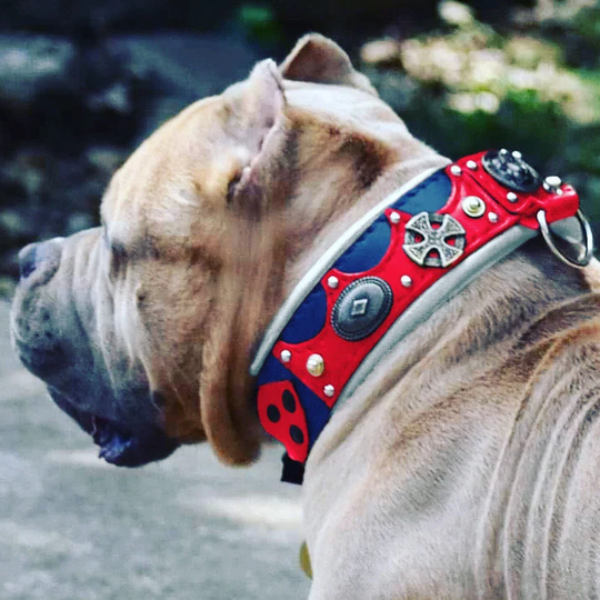 American Bully, Leather Dog Collar Handmade Bully American Xl Pocket