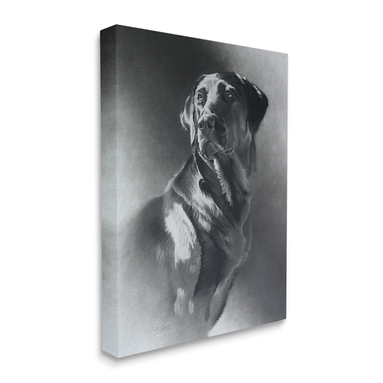 Stupell Industries Charcoal Pencil Labrador Dog Portrait Vintage Pet Canvas Wall Art - Black