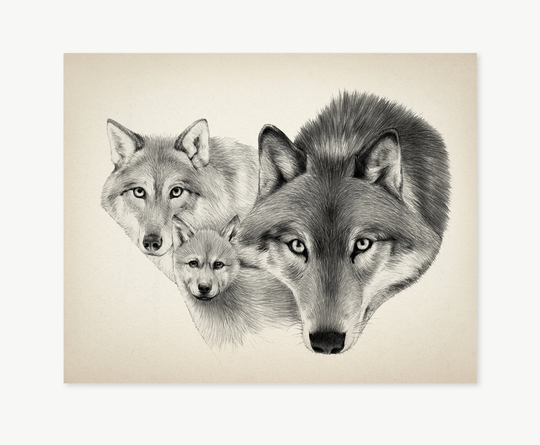 Wolf Family Portrait, Wall Art, Art Print, Pencil Drawing, Illustration, Décor For Bedroom, Woodland Animal Gift
