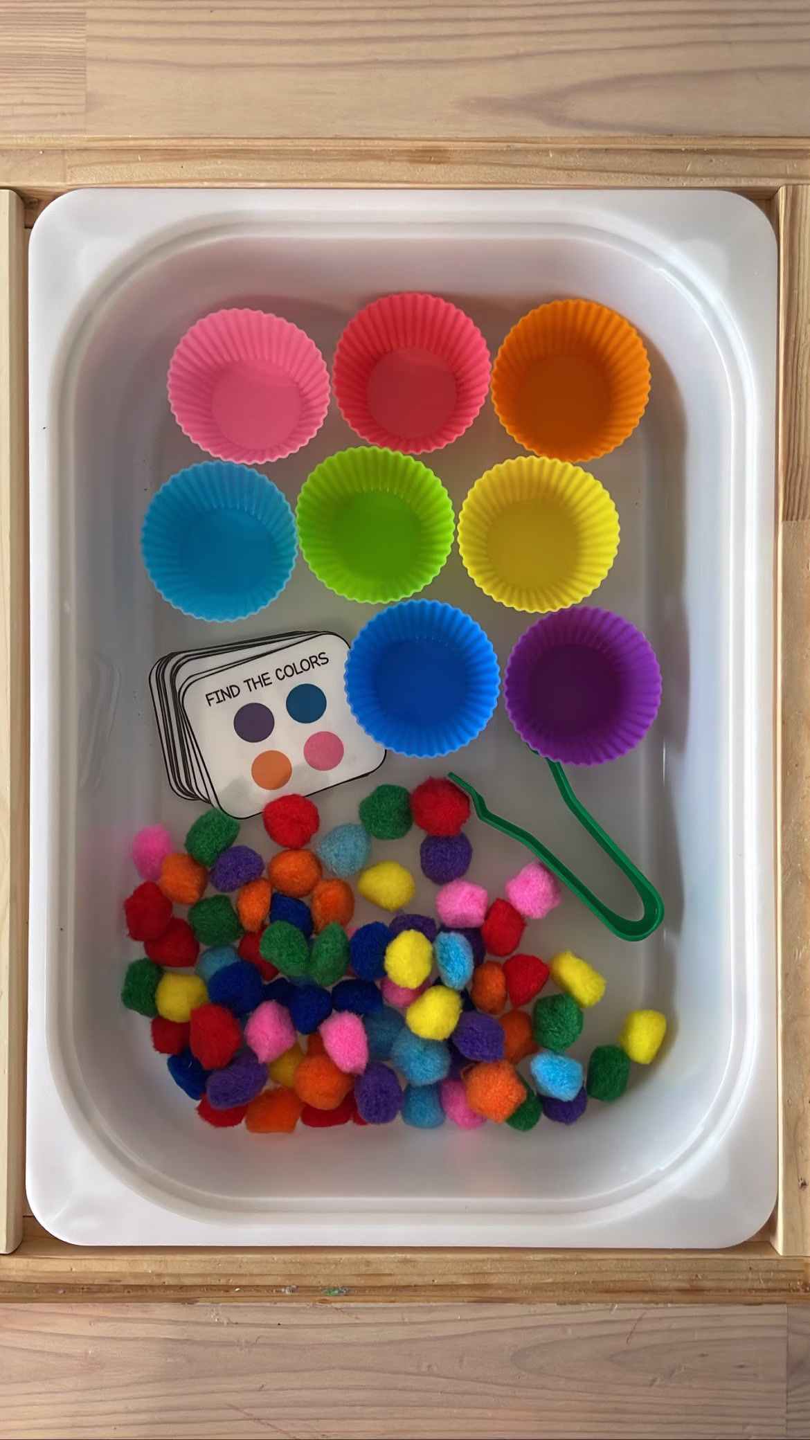 Color Sorting/Matching Sensory Bin For Toddlers