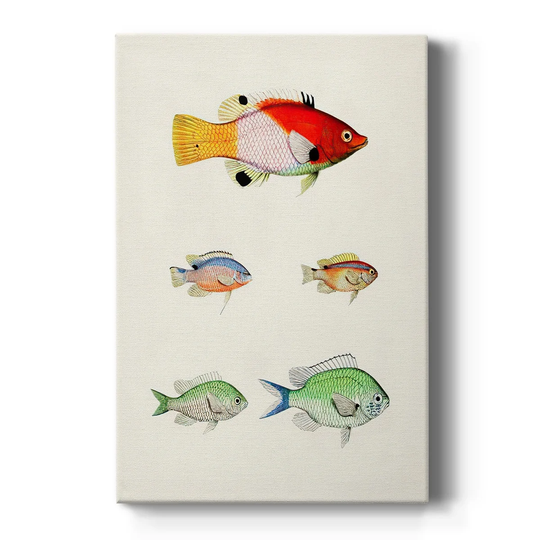 Colorful Tropical Fish I Premium Gallery Wrapped Canvas - Ready to Hang
