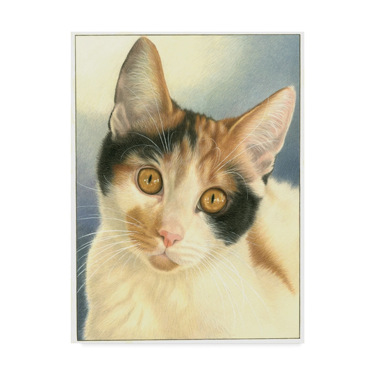 Francien Van Westering 'Speckled Cats' Canvas Art - Multi-color