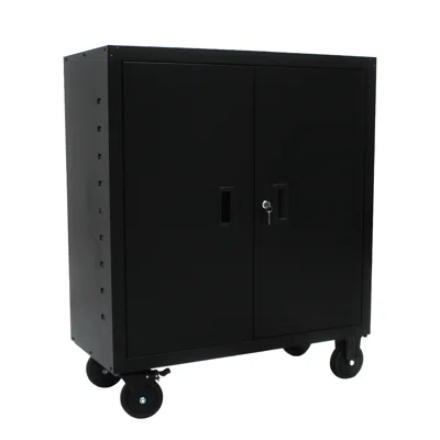 Avdotja 2 - Shelf Storage Cabinet